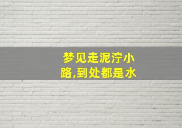 梦见走泥泞小路,到处都是水