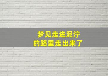 梦见走进泥泞的路里走出来了