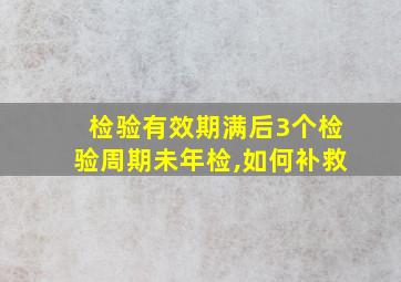 检验有效期满后3个检验周期未年检,如何补救