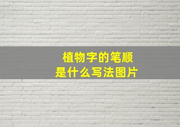 植物字的笔顺是什么写法图片