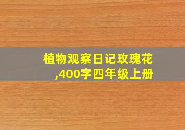 植物观察日记玫瑰花,400字四年级上册