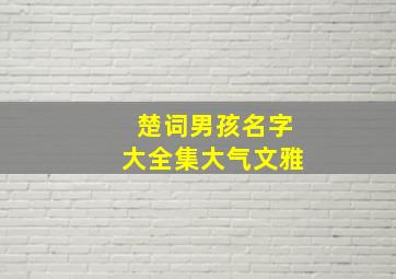 楚词男孩名字大全集大气文雅