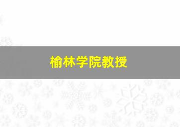 榆林学院教授