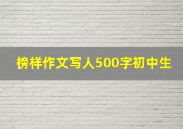 榜样作文写人500字初中生