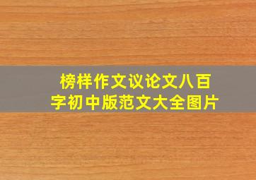 榜样作文议论文八百字初中版范文大全图片