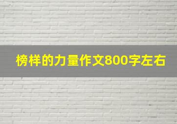 榜样的力量作文800字左右