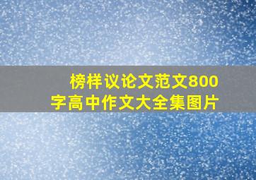 榜样议论文范文800字高中作文大全集图片