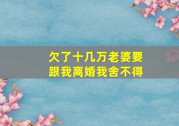 欠了十几万老婆要跟我离婚我舍不得