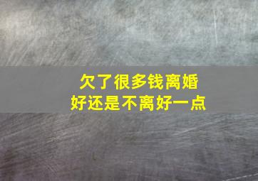 欠了很多钱离婚好还是不离好一点