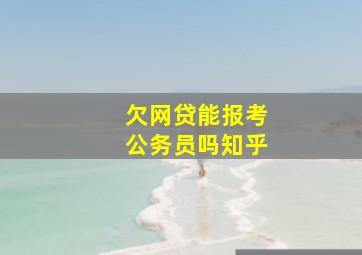 欠网贷能报考公务员吗知乎