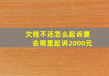 欠钱不还怎么起诉要去哪里起诉2000元