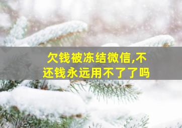 欠钱被冻结微信,不还钱永远用不了了吗