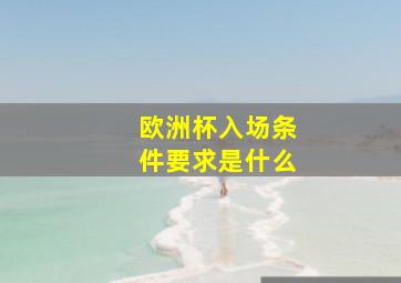 欧洲杯入场条件要求是什么