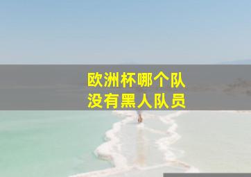 欧洲杯哪个队没有黑人队员