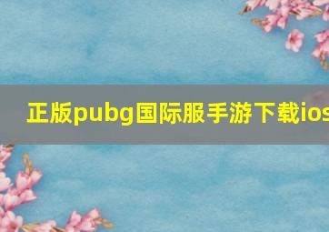 正版pubg国际服手游下载ios