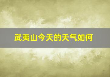 武夷山今天的天气如何