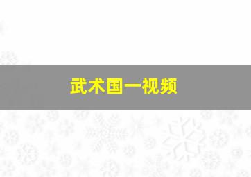 武术国一视频