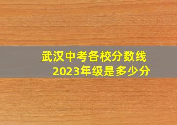 武汉中考各校分数线2023年级是多少分