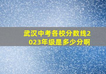 武汉中考各校分数线2023年级是多少分啊