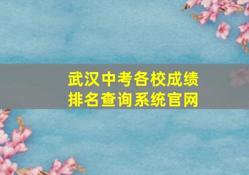 武汉中考各校成绩排名查询系统官网