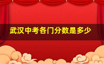 武汉中考各门分数是多少