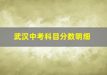 武汉中考科目分数明细