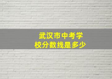 武汉市中考学校分数线是多少