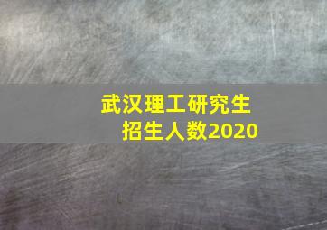 武汉理工研究生招生人数2020