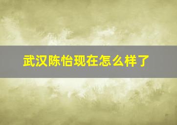 武汉陈怡现在怎么样了