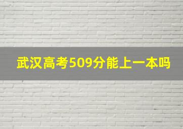 武汉高考509分能上一本吗