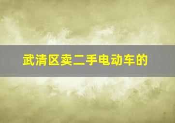 武清区卖二手电动车的