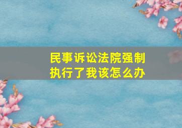 民事诉讼法院强制执行了我该怎么办