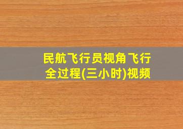 民航飞行员视角飞行全过程(三小时)视频