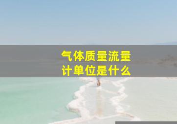 气体质量流量计单位是什么