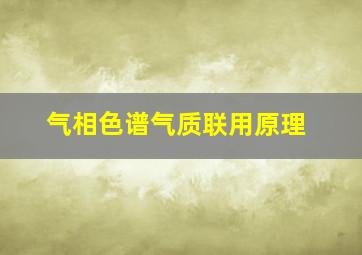 气相色谱气质联用原理