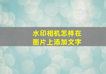 水印相机怎样在图片上添加文字