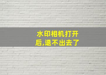 水印相机打开后,退不出去了