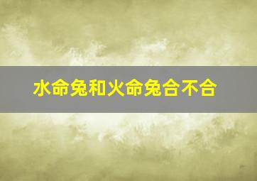 水命兔和火命兔合不合