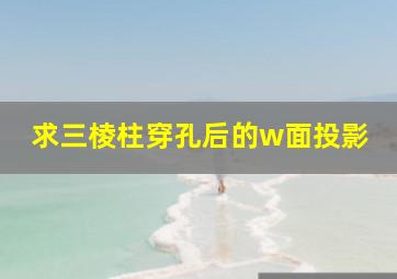 求三棱柱穿孔后的w面投影