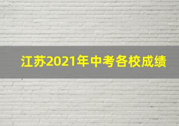 江苏2021年中考各校成绩