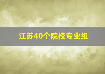 江苏40个院校专业组