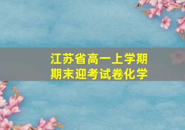 江苏省高一上学期期末迎考试卷化学