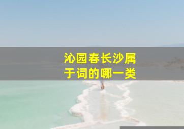 沁园春长沙属于词的哪一类