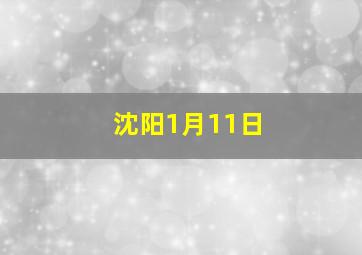 沈阳1月11日