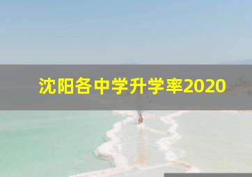 沈阳各中学升学率2020