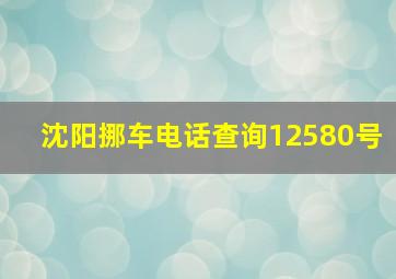 沈阳挪车电话查询12580号