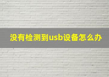 没有检测到usb设备怎么办