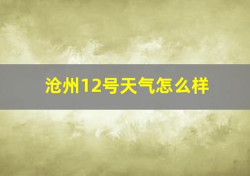 沧州12号天气怎么样