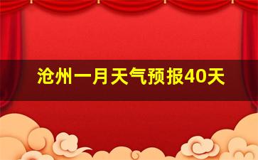 沧州一月天气预报40天