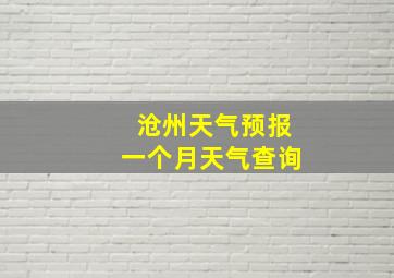 沧州天气预报一个月天气查询